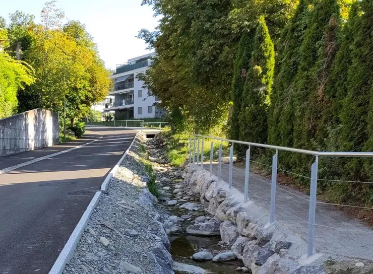 Offen gef&uuml;hrtes Gew&auml;sser entlang einer neu gestalteten Strasse mit integriertem Fussweg und naturnaher Ufergestaltung.